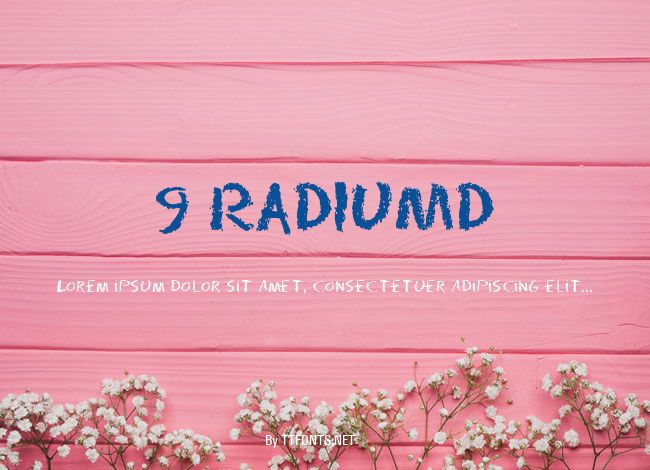 9 RADIUMD example